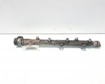 Rampa injector cu senzori, cod 7787164, Bmw 3 Coupe (E92) 2.0 diesel, 204D4 (idi:557561)