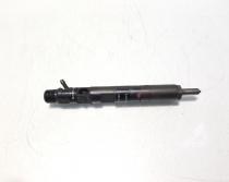 Injector, cod 8200365186, EJBRO1801A, Renault Kangoo 1, 1.5 DCI, K9K702 (id:572651)