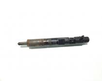 Injector Delphi, cod 8200815416, EJBR05102D, Renault Megane 2, 1.5 DCI, K9K724 (idi:573024)