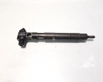 Injector Delphi, cod A6510704987, Mercedes Clasa E (W212), 2.2 CDI, OM651924 (id:583040)