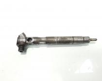 Injector Delphi, cod A6510700587, Mercedes Clasa C T-Model (S204), 2.2 CDI, OM651911 (idi:585046)