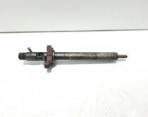 Injector Delphi, cod 9656389980, EJBR03801D, Peugeot 407 SW, 2.0 HDI, RHR (id:585640)