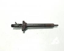 Injector Delphi, cod 9656389980, EJBR03801D, Peugeot 407 SW, 2.0 HDI, RHR (id:595689)