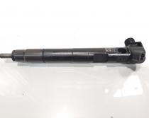 Injector Delphi, cod A6510704987, Mercedes Clasa E (W212) 2.2 CDI, OM651924 (id:597857)