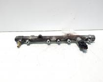 Rampa injectoare cu senzori, cod 820039699, 0445214078, Renault Scenic 2, 1.9 DCI, F9Q804 (id:620596)