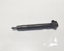 Injector Delphi, cod A6510702887, Mercedes CLS (C218), 2.2 CDI, OM651924 (idi:624258)