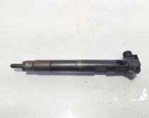 Injector Delphi, cod A6510700587, Mercedes Clasa E (W212) 2.2 CDI, OM651924 (id:639036)