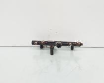 Rampa injectoare cu senzor, cod 9681909680, Ford S-Max 1, 2.0 TDCI, TXWA (id:656759)