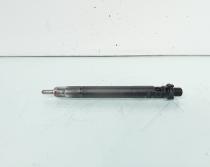 Injector, cod 9686191080, EMBR00101D, Ford Galaxy 2, 2.0 TDCI, UFWA (id:656828)