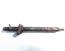 Injector, Citroen C5 (II) 2.0 hdi, RHR, 9656389980 (idi:382387)