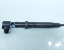 Injector, cod A6510702787, Mercedes Clasa C (W205), 2.2 CDI, OM651921 (id:662393)