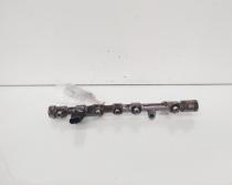 Rampa injectoare cu senzor, cod 8200750048, 0445214158, Renault Megane 3, 1.9 DCI, F9Q870 (idi:664082)