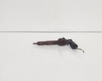 Injector, cod 7T1Q-9F593-AB, Ford Transit Connect (P65) 1.8 TDCI, R3PA (id:665408)