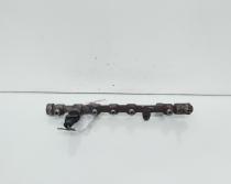Rampa injectoare cu senzori, cod 8200620689, 0445214113, Renault Megane 3, 1.9 DCI, F9Q754 (idi:663401)