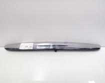 Maner haion, Mini Cooper (R50, R53) (id:620697)