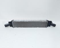 Radiator intercooler, cod 8K0145805G, Audi A4 Allroad (8KH, B8) 2.0 TDI, CAG (idi:663459)