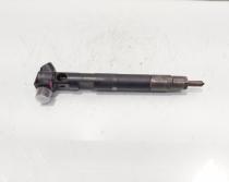 Injector Delphi, cod A65110700587, Mercedes Clasa E (W212) 2.2 CDI, OM651924 (id:672751)