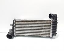 Radiator intercooler, cod BV61-9L440-CJ, Ford Focus 3 Turnier, 1.6 TDCI, T1DA (id:674395)