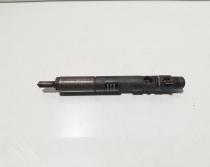 Injector Delphi, cod 166000897R, H8200827965, Renault Clio 3, 1.5 DCI, K9K770 (id:675166)