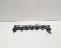 Rampa injectoare cu senzori Delphi, cod 04B130093, Skoda Fabia 3 Combi (NJ5), 1.4 TDI, CUS (idi:674212)
