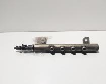Rampa injectoare cu senzor, cod 55187887, 0445214058, Alfa Romeo 147 (937), 1.9 JTDM, 937A5000 (idi:673250)