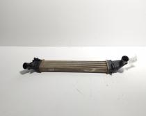 Radiator intercooler, cod 8200424155, Dacia Logan Pick-up (US), 1.5 DCI, K9K792 (idi:675957)