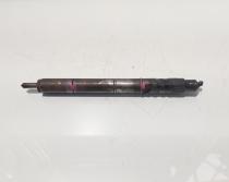 Injector Delphi, cod 9640945980, Citroen C3 (I) 1.4 HDI (id:453496)