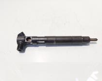 Injector Delphi, cod A6510704987, Mercedes Clasa E (W212), 2.2 CDI, OM651924 (id:677839)