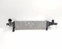 Radiator intercooler, Nissan Qashqai (id:682083)