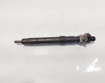 Injector, cod 9686191080, EMBR00101D, Ford Galaxy 2 2.0 TDI, UFWA (id:685049)