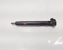 Injector Delphi, cod A6510704987, Mercedes Clasa E (W212) 2.2 CDI, OM651924 (id:683925)