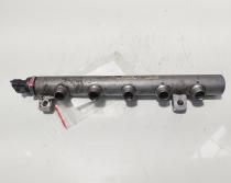 Rampa injectoare, cod 175210542R, Renault Kangoo 2 1.6 diesel (id:669763)
