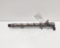 Rampa injectoare cu senzori Delphi, cod A6510700595, Mercedes Clasa E Coupe (C207), 2.2 CDI, OM651924 (idi:685091)