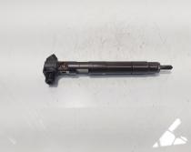 Injector Delphi, cod A6510702887, Mercedes Clasa E (W212) 2.2 CDI, OM651924 (id:687549)