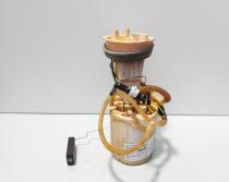 Pompa combustibil, cod 8E0919050E, Audi A4 (8EC, B7) BRE (id:688298)