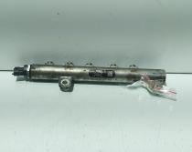 Rampa injectoare cu senzor, cod GM55209572, 0445214095, Fiat Stilo (192), 1.9 M-Jet, 192A8000 (idi:690374)