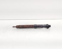 Injector, cod 9686191080, EMBR00101D, Ford Galaxy 2 2.0 TDCI, UFWA (id:692037)