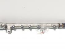Rampa injectoare cu senzori, cod 03L125A, Skoda Superb II Combi (3T5), 1.6 TDI, CAY (idi:690341)