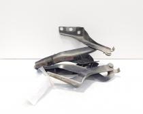 Set balamale capota, Peugeot 308 (id:433479)