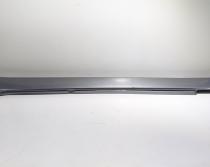 Ornament prag stanga, cod 7178121, Bmw 5 (E60) (id:696991)