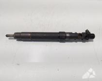 Injector, cod 9686191080, EMBR00101D, Ford Galaxy 2, 2.0 TDCI, UFWA (id:700551)