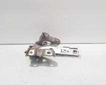 Set balamale capota fata, Audi A5 Sportback (8TA) (id:706158)