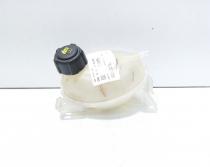 Vas expansiune, cod 217107259R, Dacia Sandero 2 1.5 DCI, K9K612 (id:706275)