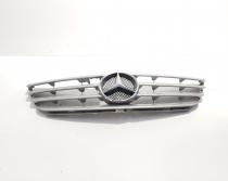 Grila bara fata centrala cu sigla, cod 1698800183, Mercedes Clasa B (W245) (id:707047)
