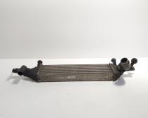 Radiator intercooler, cod 14461-BB50B, Nissan Qashqai 1.6 DCI, R9M402 (id:707166)