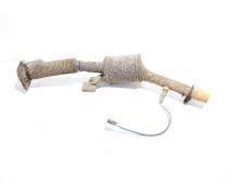 Catalizator, cod 208020078R, Dacia Duster 1.6 SCE, K4M606 (id:709581)