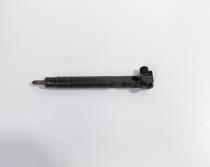 Injector Delphi, cod A6510702887, Mercedes Clasa E (W212) 2.2 CDI, OM651924 (id:711749)