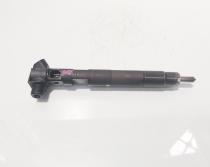 Injector Delphi, cod A6510702887, Mercedes Clasa E (W212) 2.2 CDI, OM651924 (id:714618)