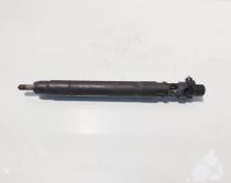 Injector, cod 9686191080, EMBR00101D, Ford Galaxy 2 2.0 TDCI, UFWA (id:716145)
