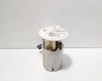 Sonda litrometrica, cod 172020033R, Renault Megane 3 Combi, 1.5 DCI, K9K836 (id:680059)